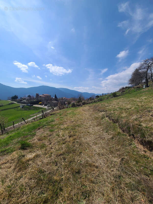 Terrain à MONESTIER