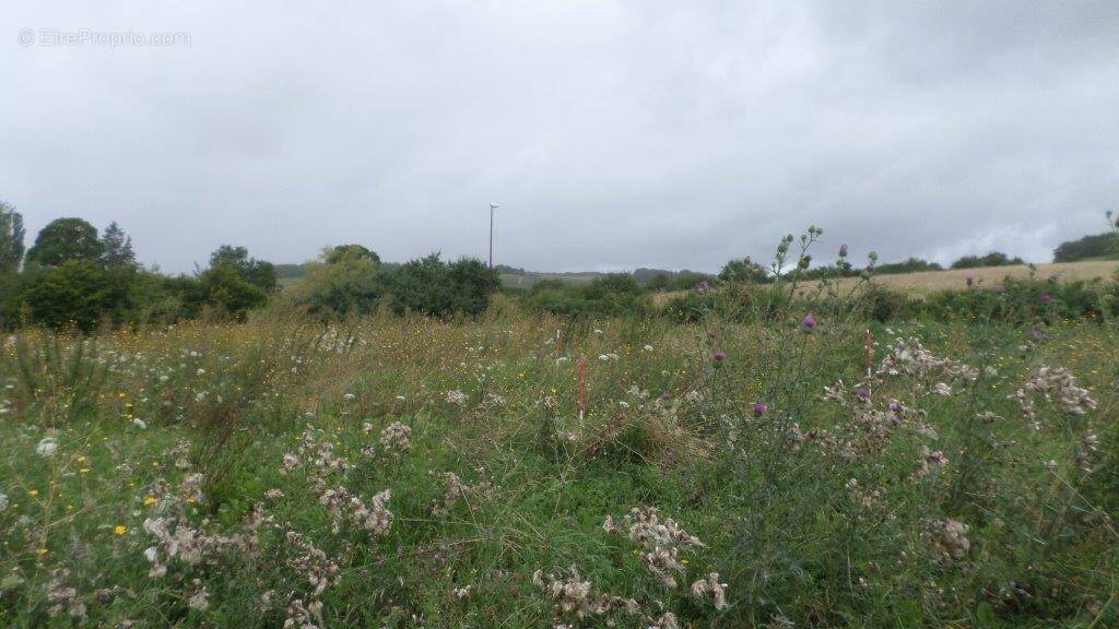 Terrain à CHAMPIGNOL-LEZ-MONDEVILLE
