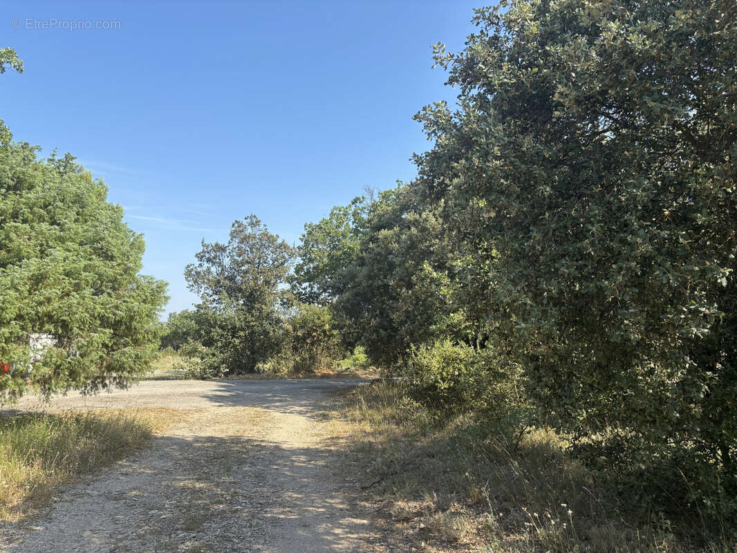 Terrain constructible 2000 m2 Saint-Martin-de-Pallières - photo 5