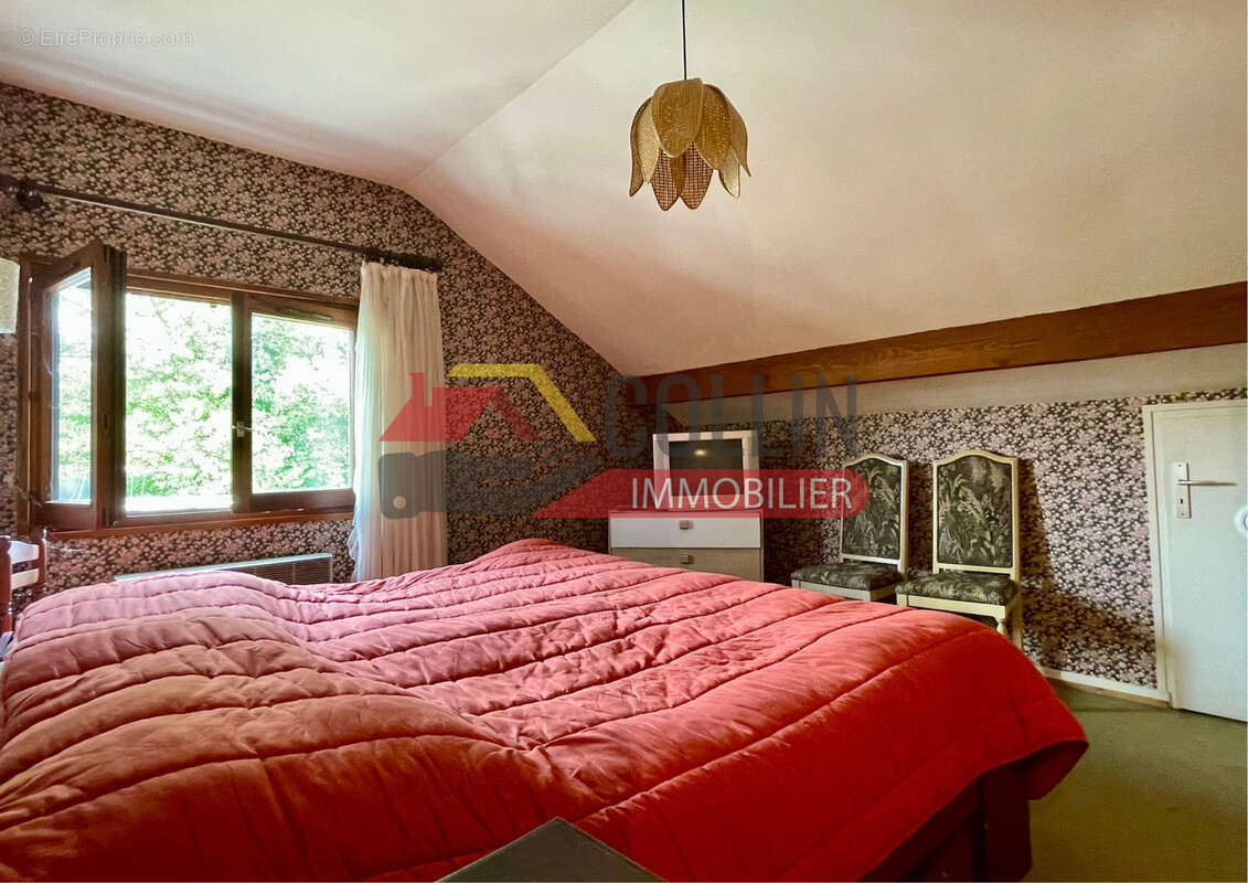 Propriete aux portes des vosges et bord de meurthe 5 chambres - photo 10