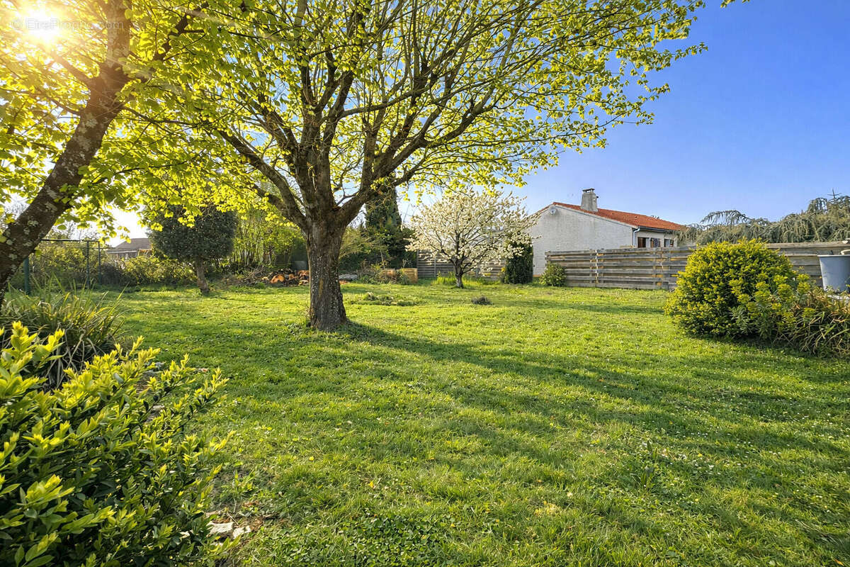 Maison à JAUNAY-CLAN