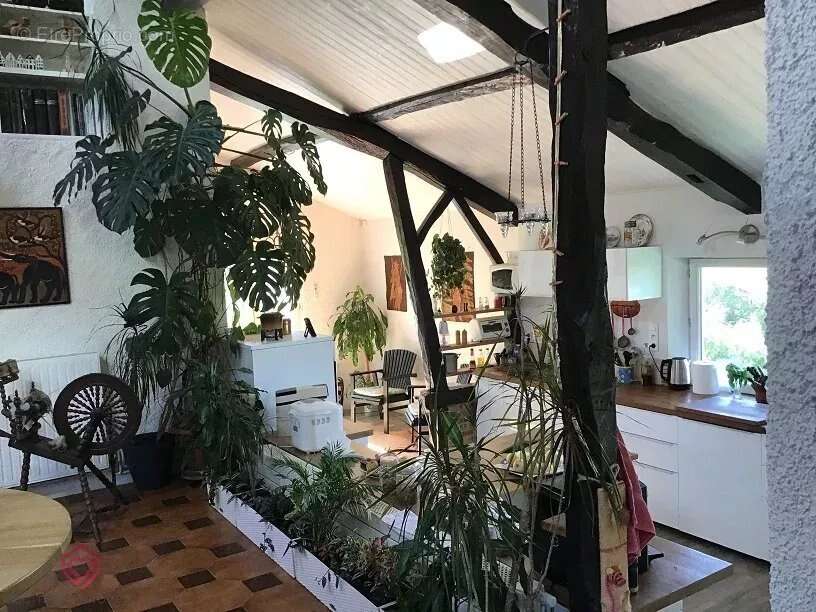 Maison à L&#039;ISLE-EN-DODON