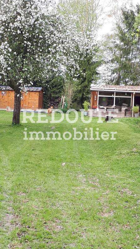 À vendre – Magnifique terrain arboré avec étang – 8 100 m² – Barby ( A 5 mins de RETHEL et à 30 mins de REIMS) - photo 3