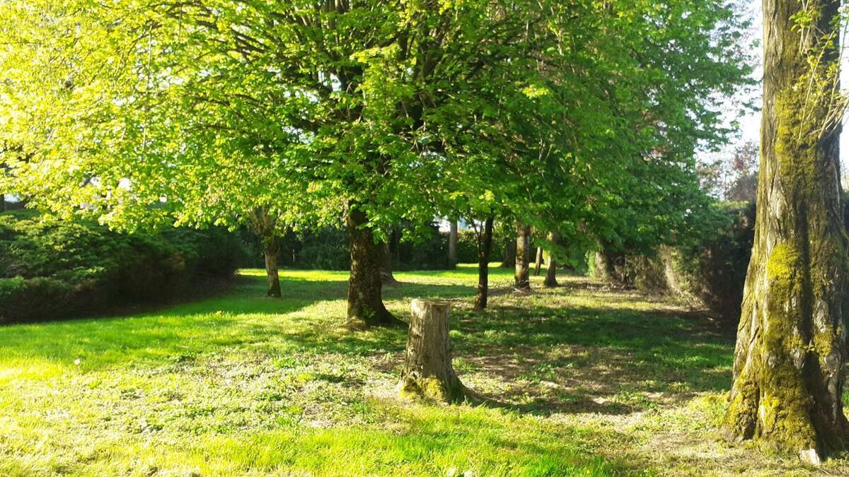 Demeure  à réinventer au cœur d’un parc de 3 700 m² - photo 14
