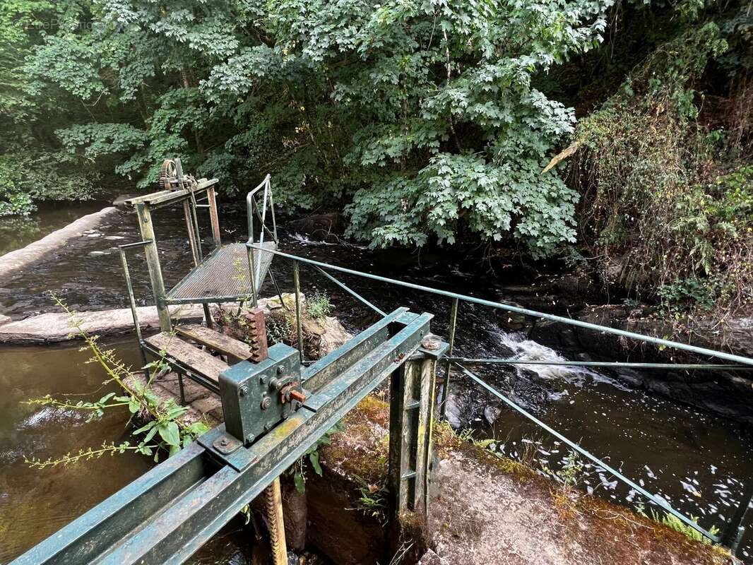 Maison à AIXE-SUR-VIENNE