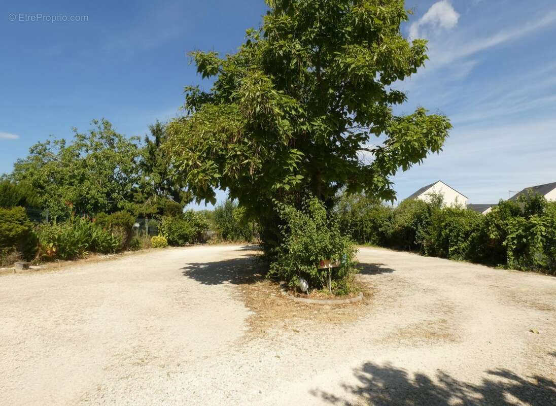Commerce à VIENNE-EN-VAL
