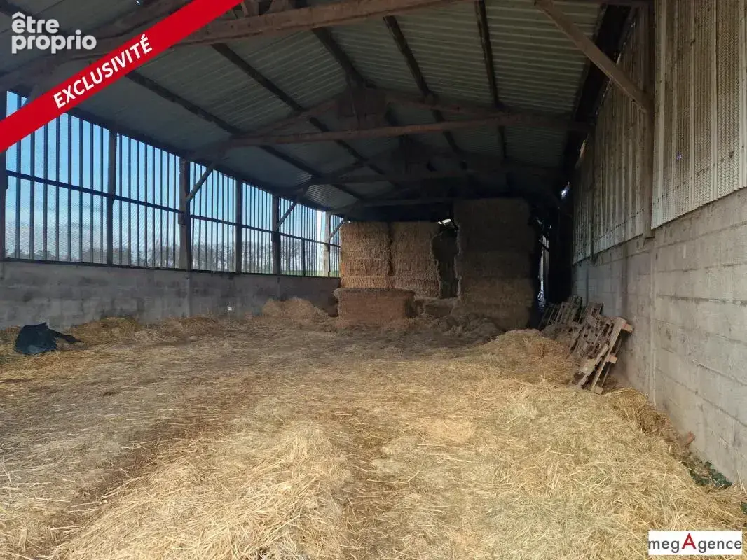 Bâtiments - Terrain - photo 6