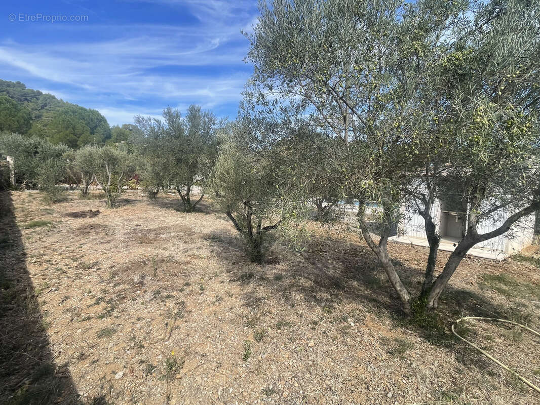 Terrain à CLERMONT-L&#039;HERAULT