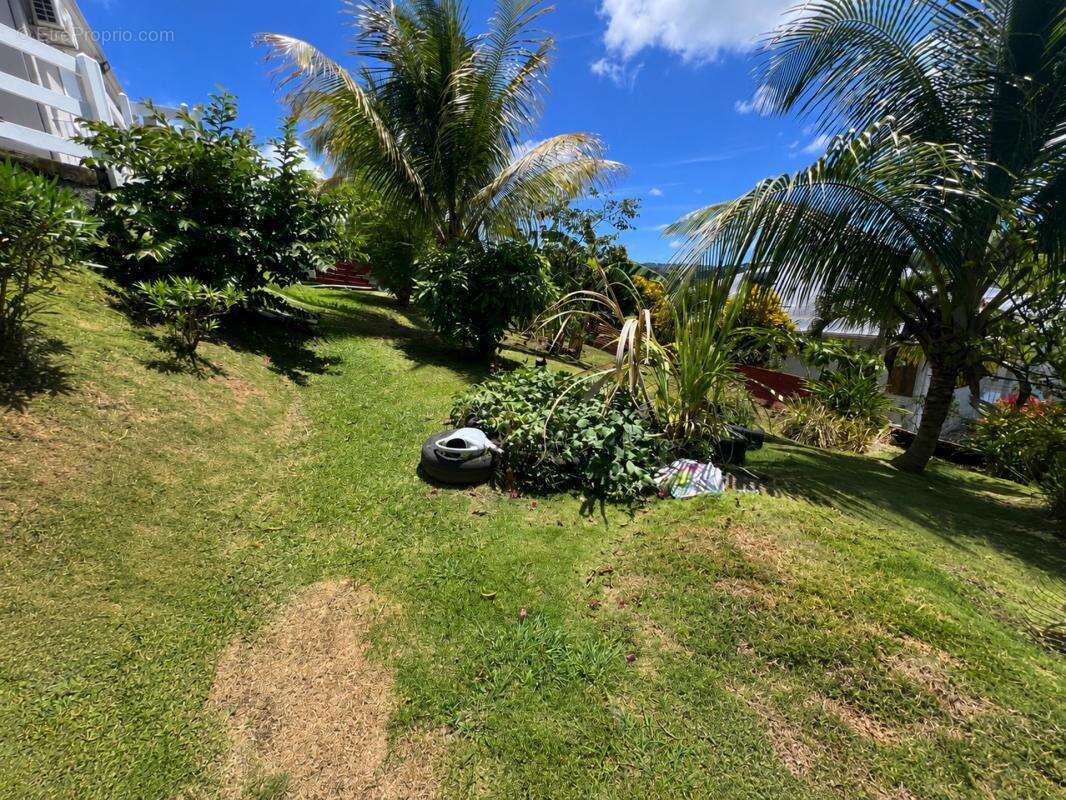 A VENDRE : Maison T3 + T2 - Ducos (97224) - photo 21