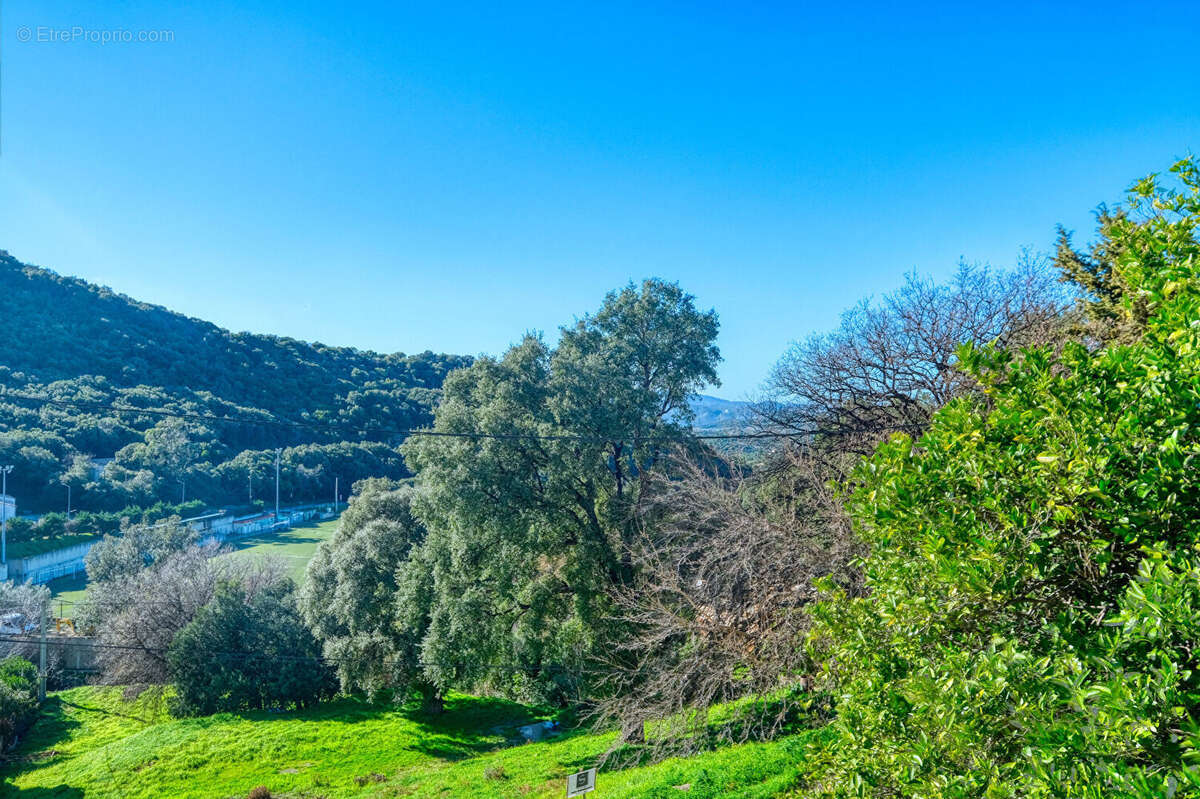 Appartement à OLETTA