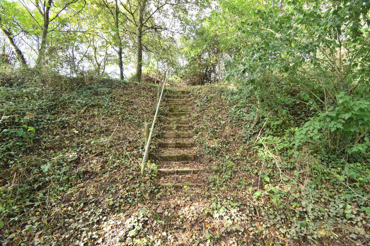 Terrain de loisir - photo 9