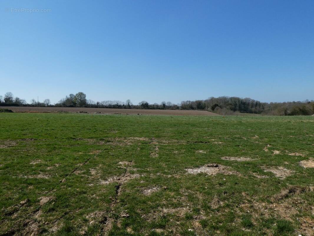 Terrain à MANERBE