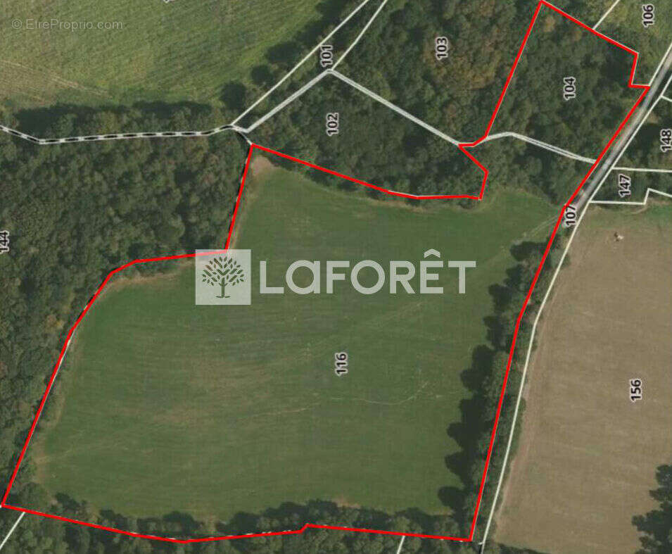 Terrain à PAIMPONT