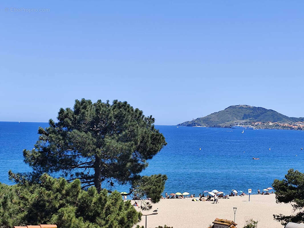 Appartement à ARGELES-SUR-MER