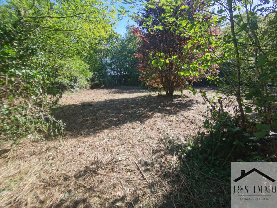 Maison à SAINT-CLAUD