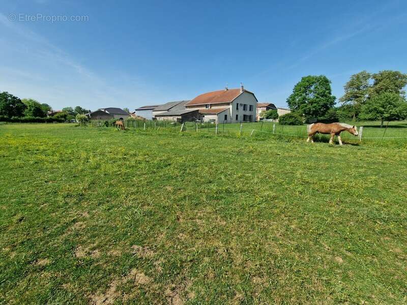 Propriété à vendre 8 pièces proche nancy (54) sur 1,8 hectare - propriété agricole avec ferme rénovée, dependances, ecuries, gra - photo 17