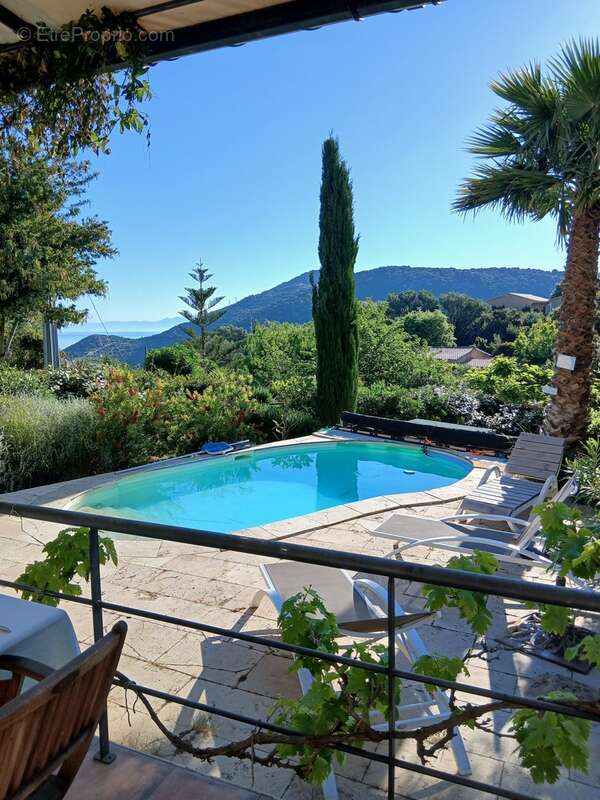 Villa avec piscine à Santa Reparata - photo 2