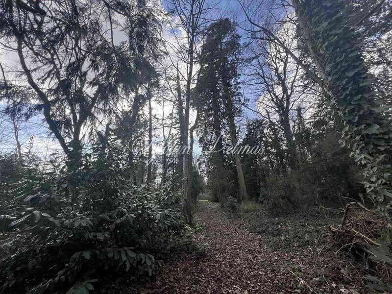 Maison à CHATILLON-SUR-INDRE
