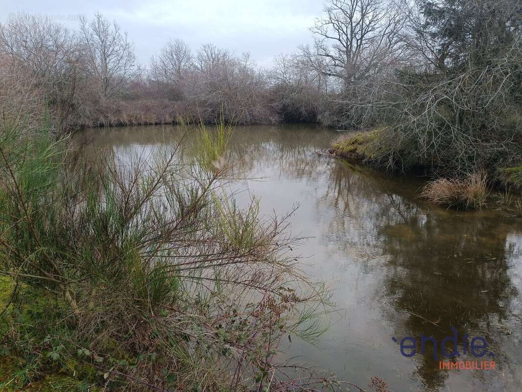 Maison à DENEUILLE-LES-MINES