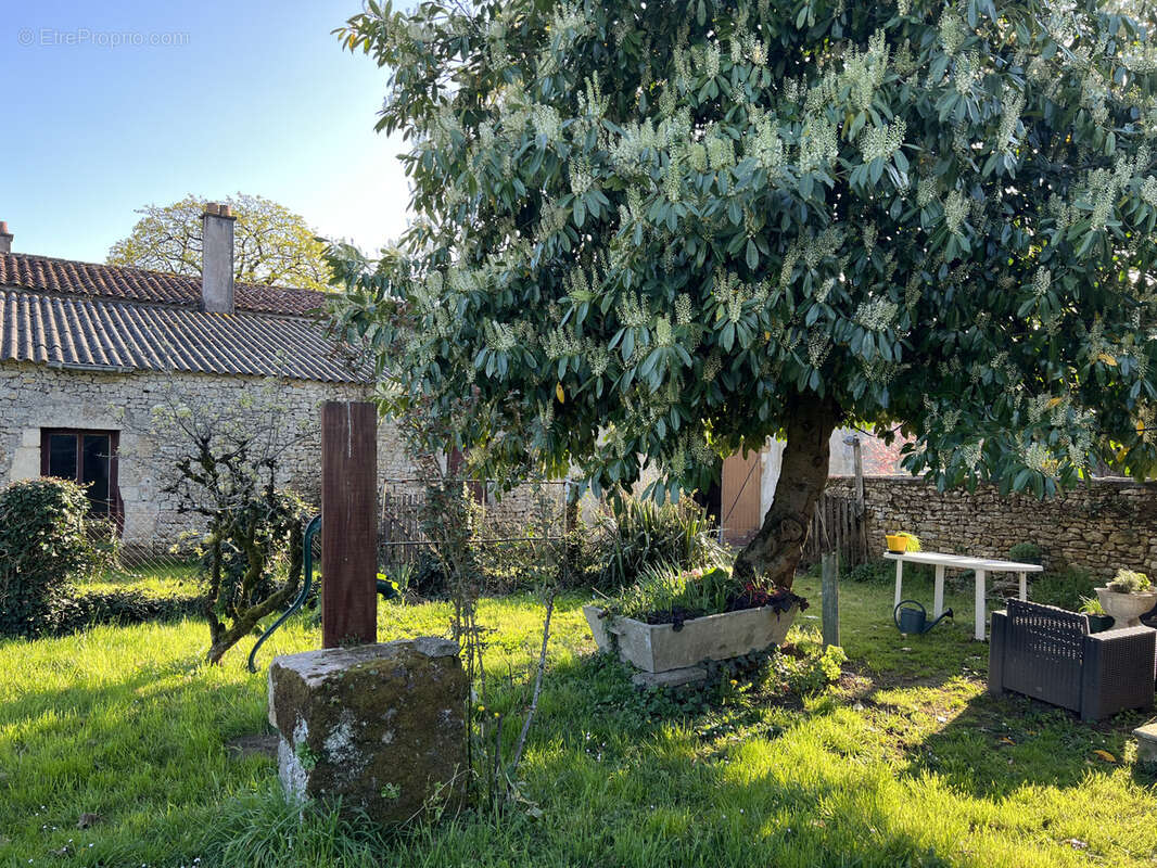 Maison à SAINTE-HERMINE