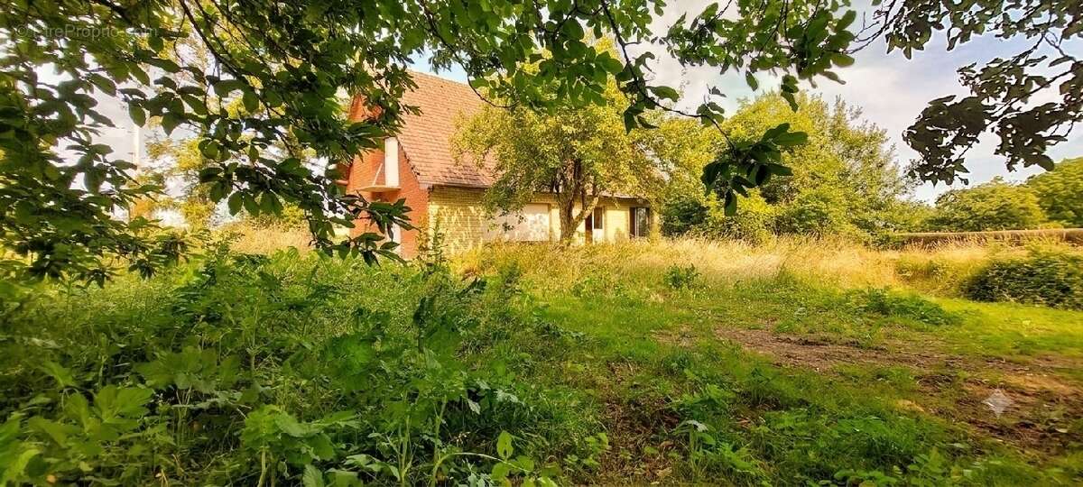 Maison à CALONNE-RICOUART