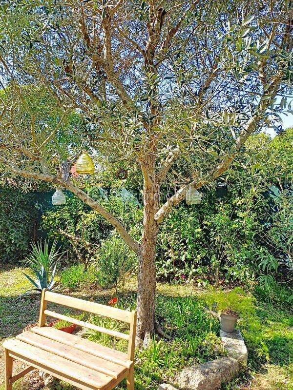 Maison à COURNONTERRAL