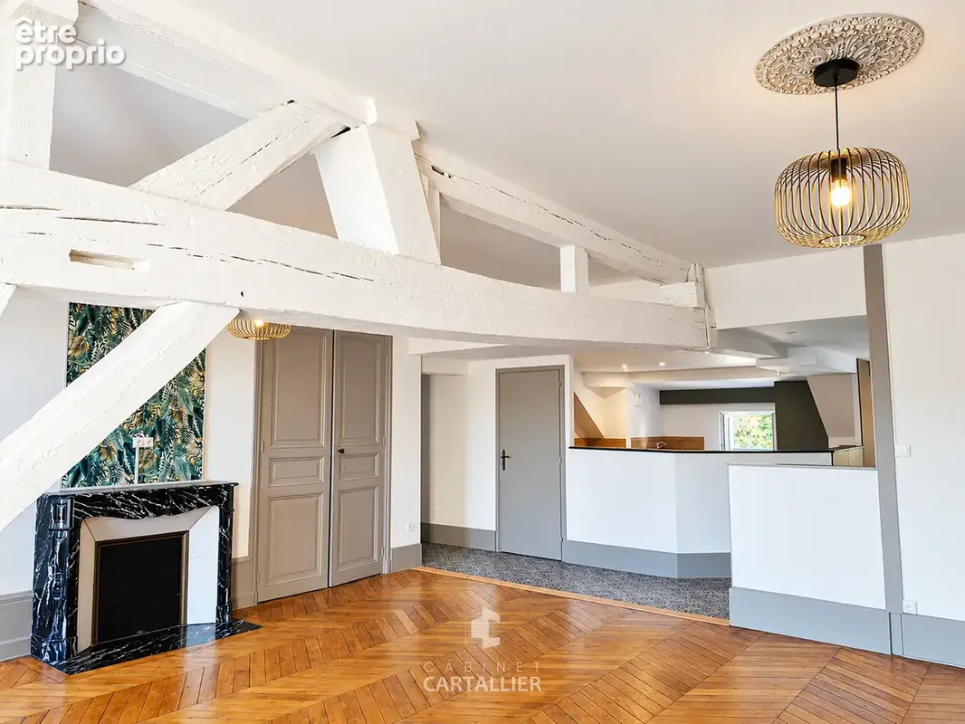 Chalon coeur de ville   130 m2-3 chambres   vue saône - photo 3