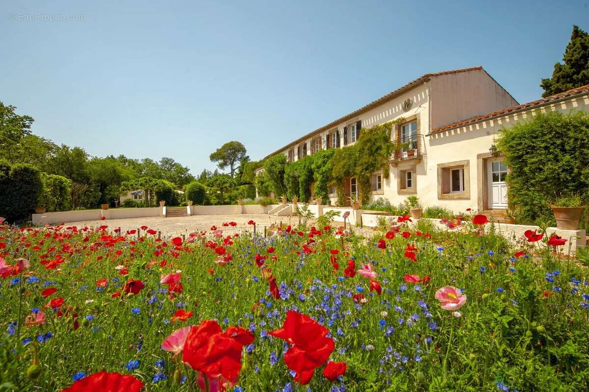 Domaine de caractère avec vues panoramiques sur la campagne audoise et la Montagne Noire - photo 16