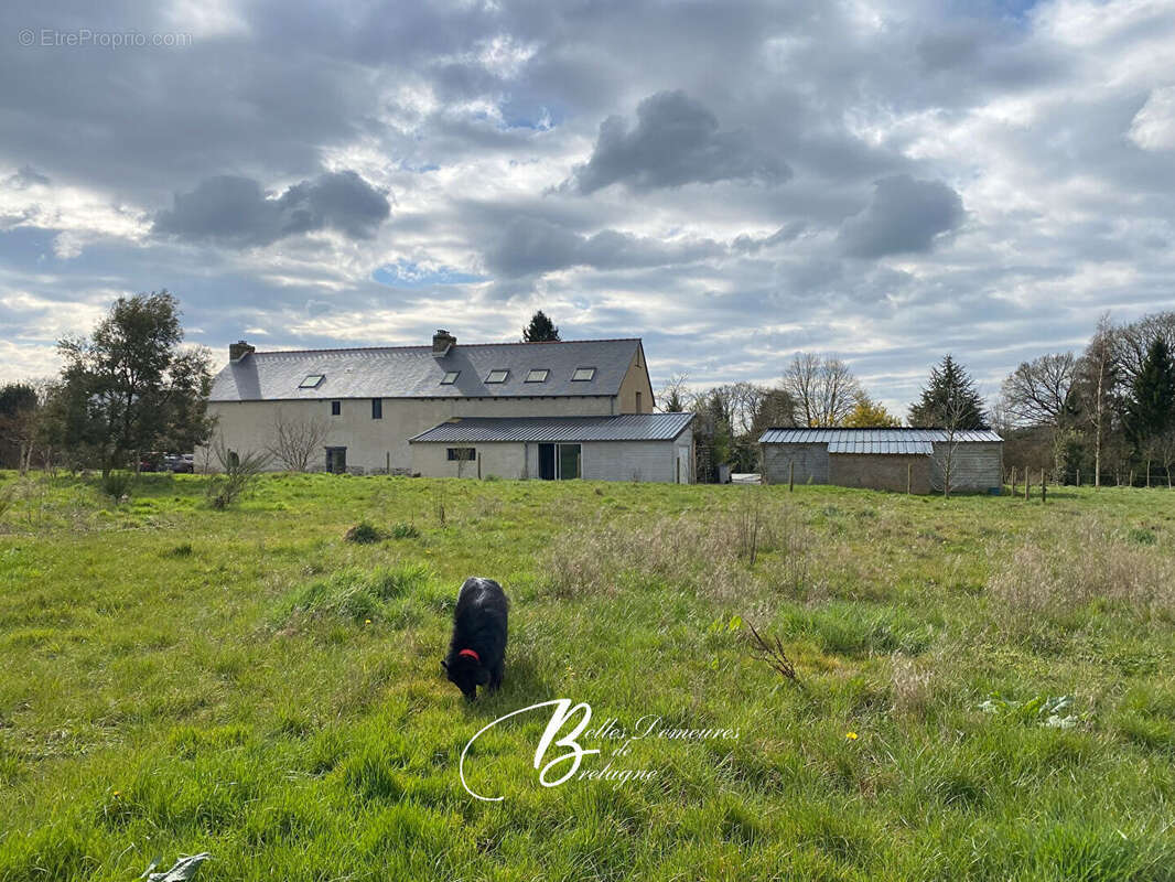 A vendre superbe longère de charme 3 hectares Piscine et Dépendance Morbihan - photo 20