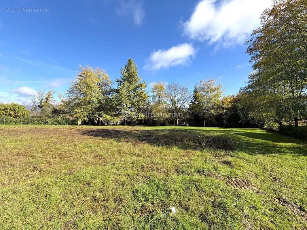 Terrain à SAINT-VICTOR-DE-MORESTEL