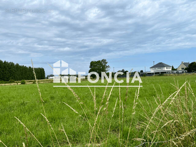 Terrain à LE VIVIER-SUR-MER