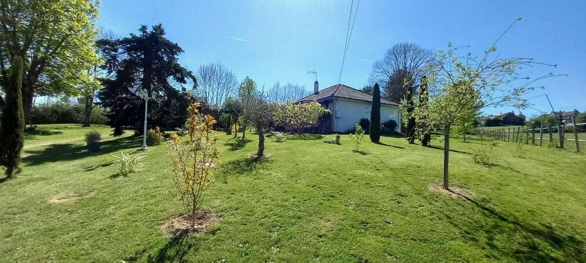 Maison à COLONDANNES