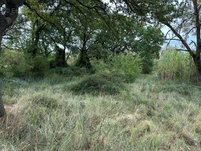 Terrain à VENDEMIAN