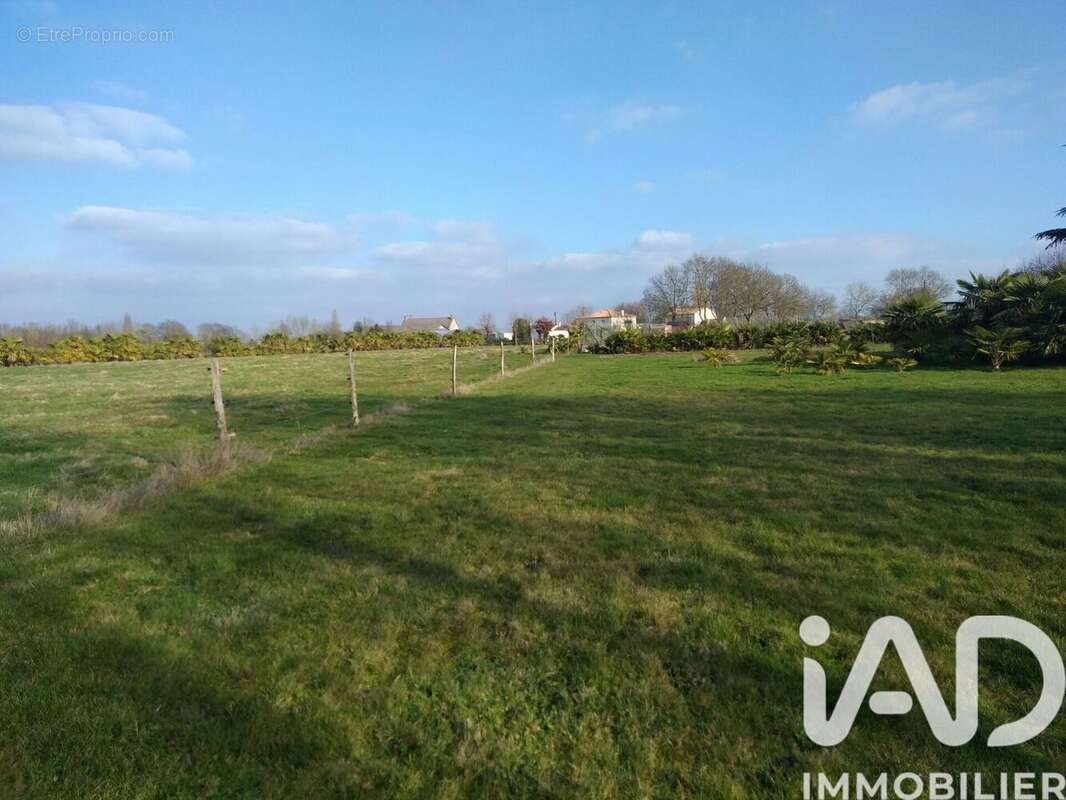 Photo 6 - Maison à MAUVES-SUR-LOIRE