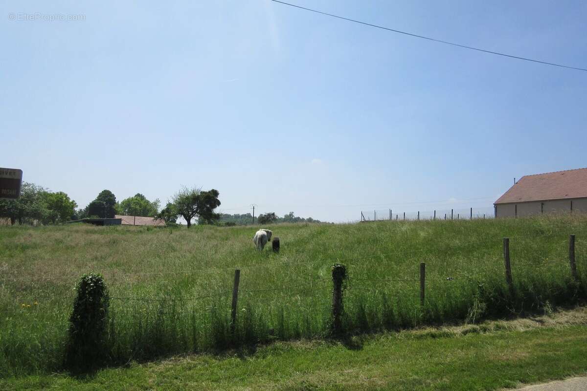 Terrain à MONTOLIVET