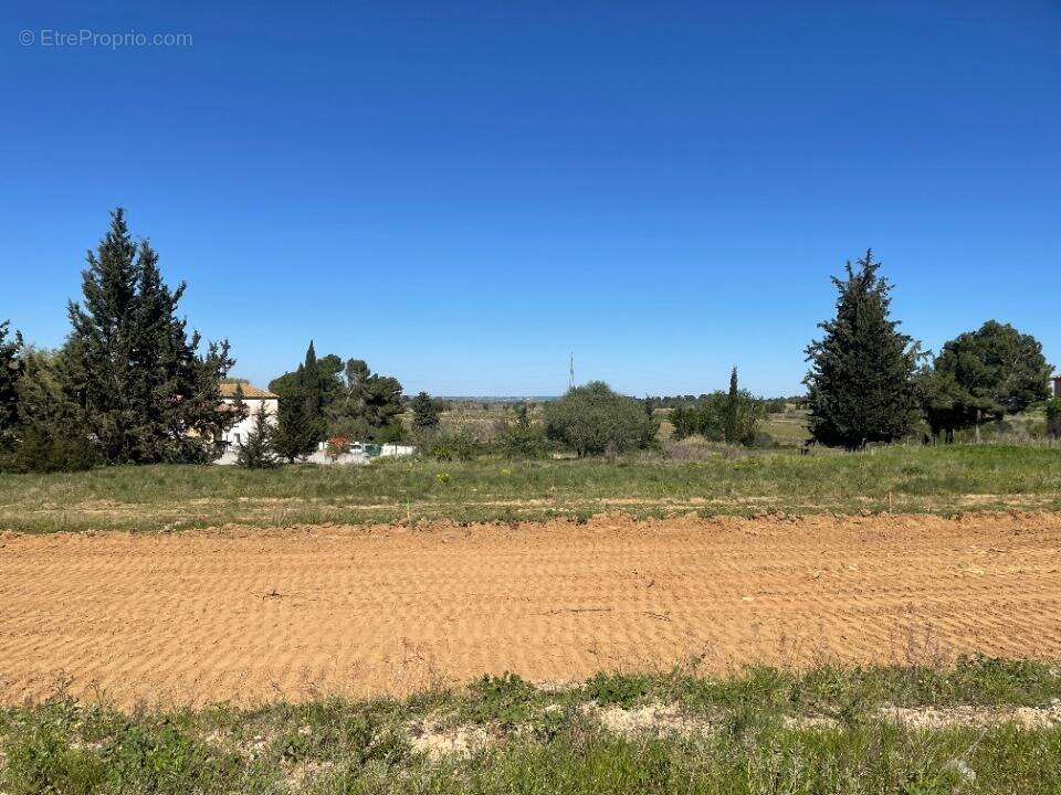 Terrain à MOUSSAN