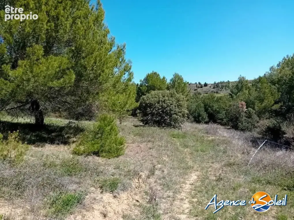 Terrain 16 830 m² à vendre à Paraza (11200) - photo 5