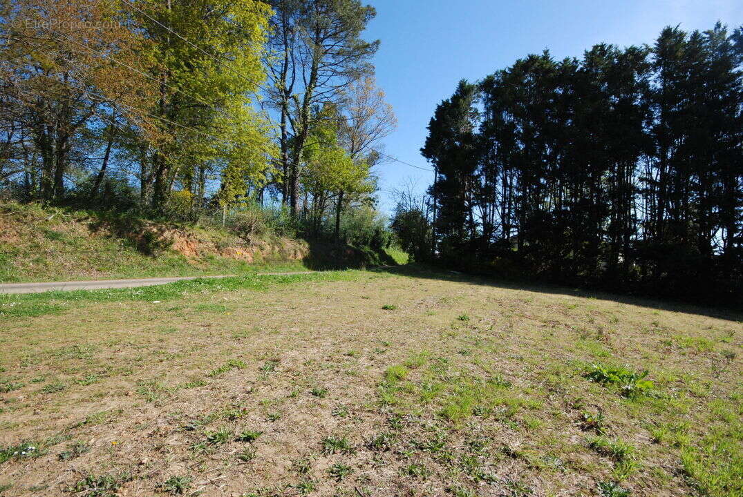 Terrain à POUILLON