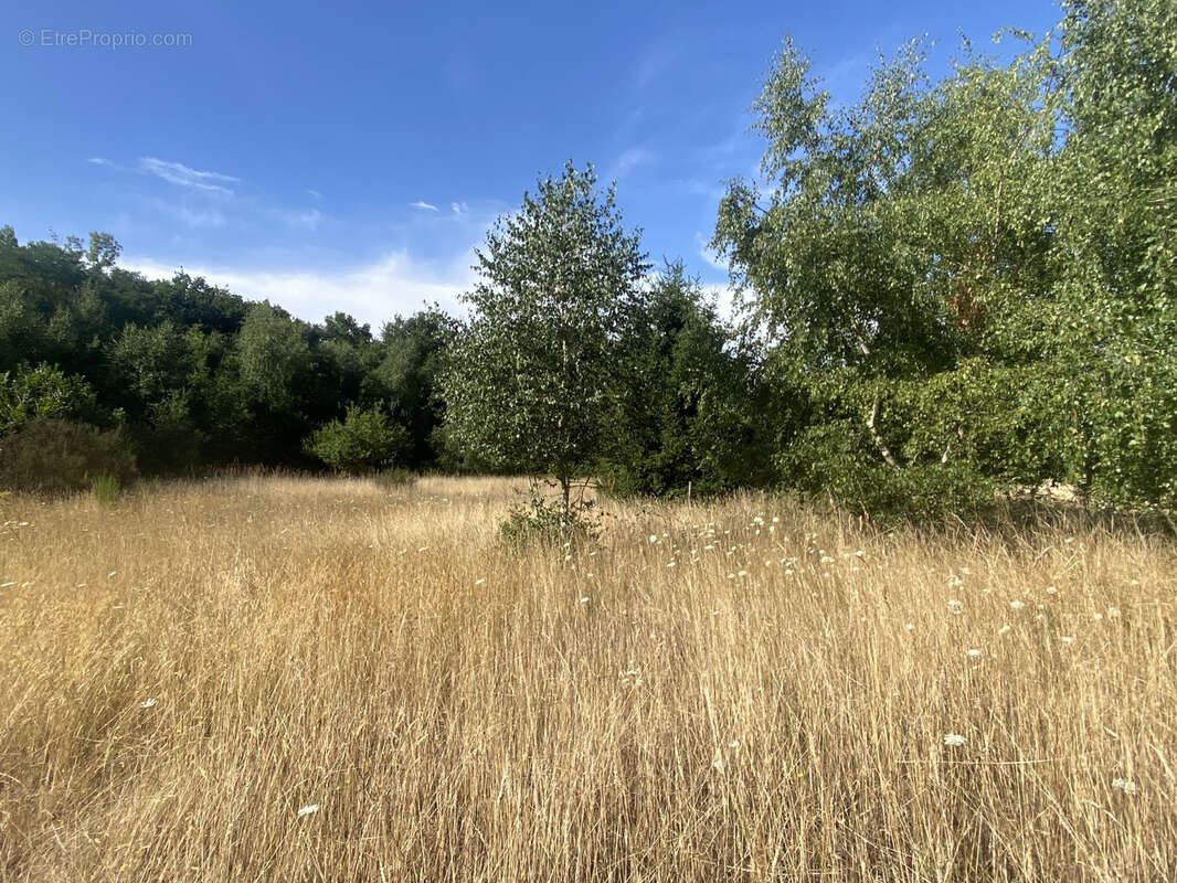 Maison à LAILLY-EN-VAL