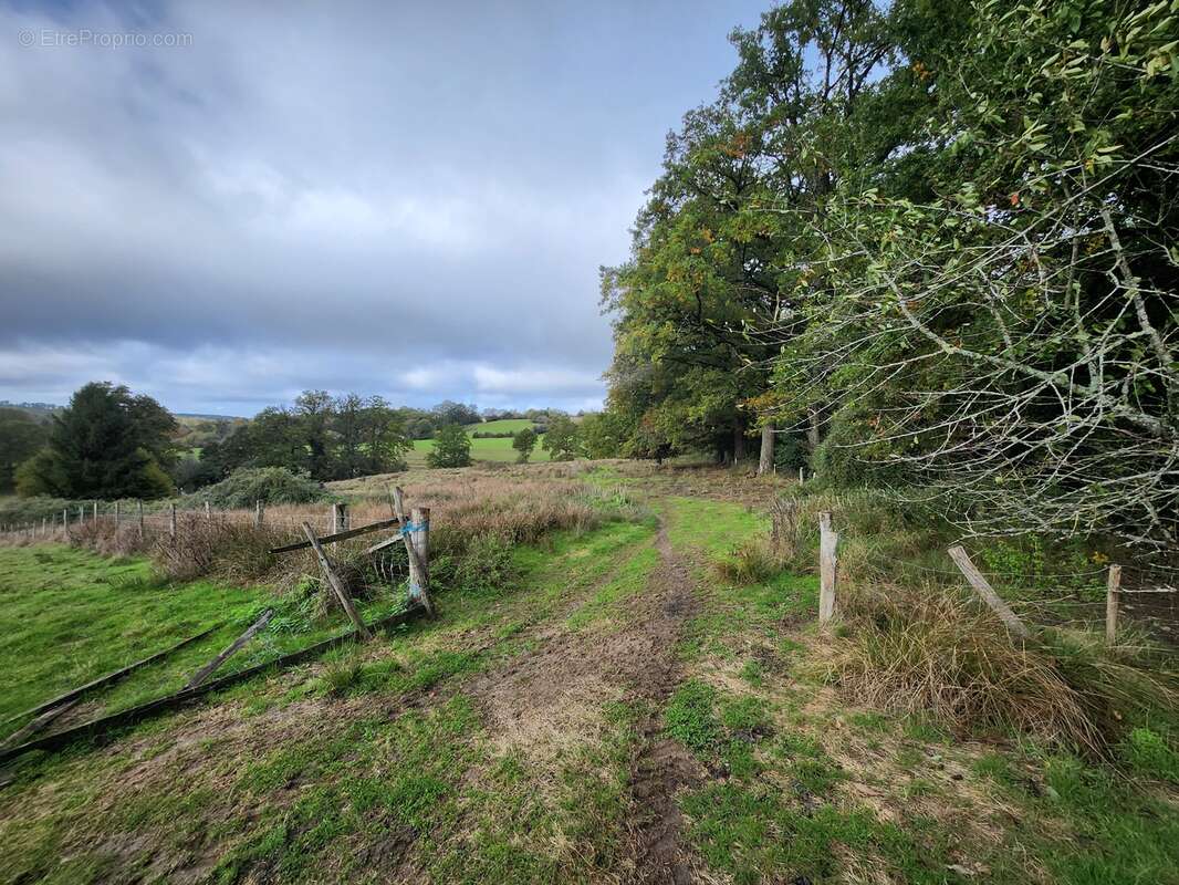 Maison à SAINT-BONNET-BRIANCE