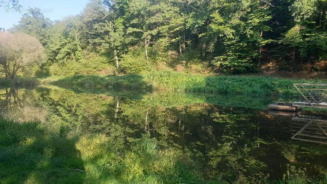 Terrain à SAINT-LEONARD-DE-NOBLAT