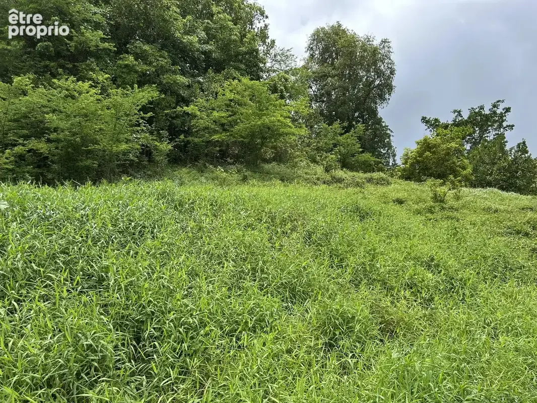 Terrain constructible 650 m² — Beau Soleil, Les Abymes — Grands Fonds, secteur calme - photo 3
