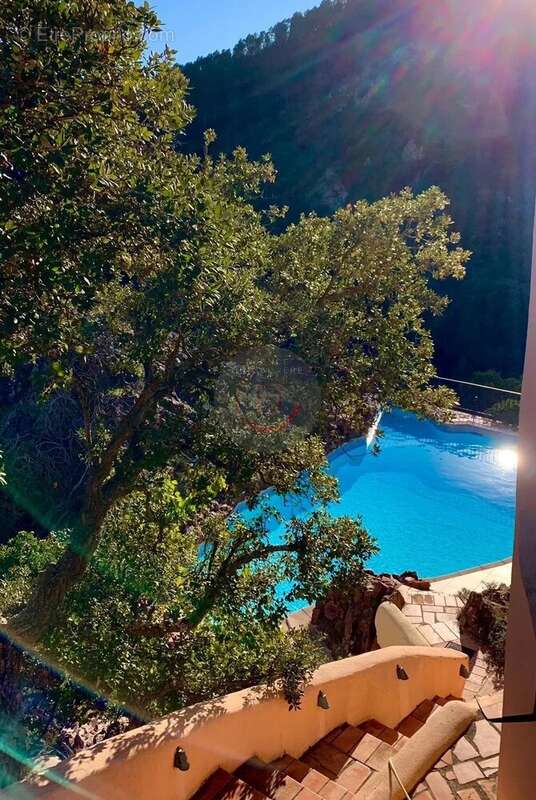 Maison à MANDELIEU-LA-NAPOULE