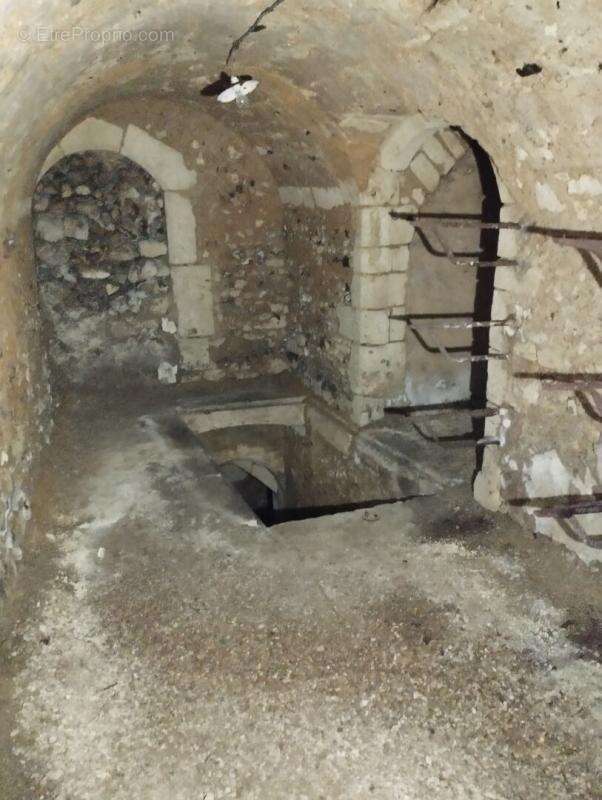 GRANDE MAISON FAMILIALE 420 m2 hotel particulier centre historisque Châteaudun - photo 14