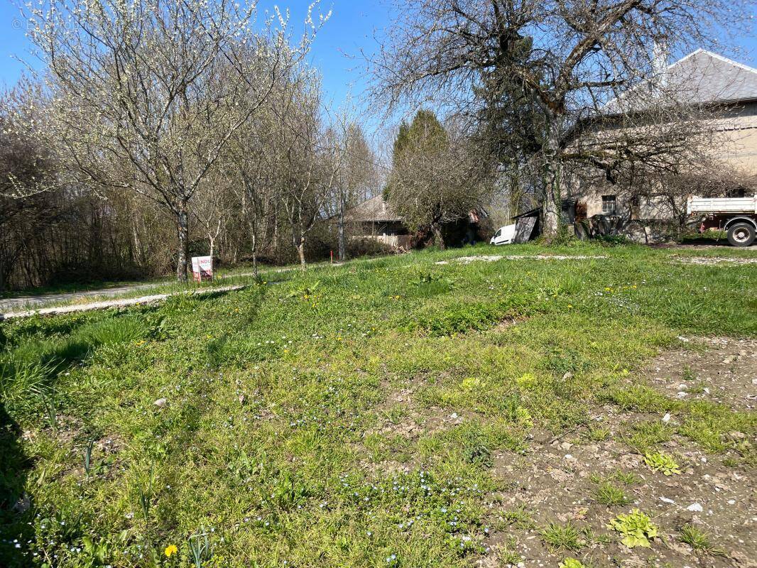 Terrain à SAINT-FELIX