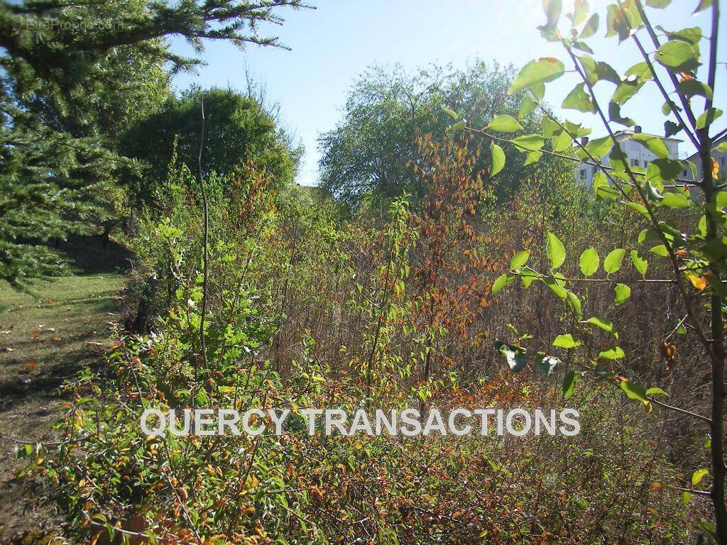 SL556829 - Terrain à CAHORS