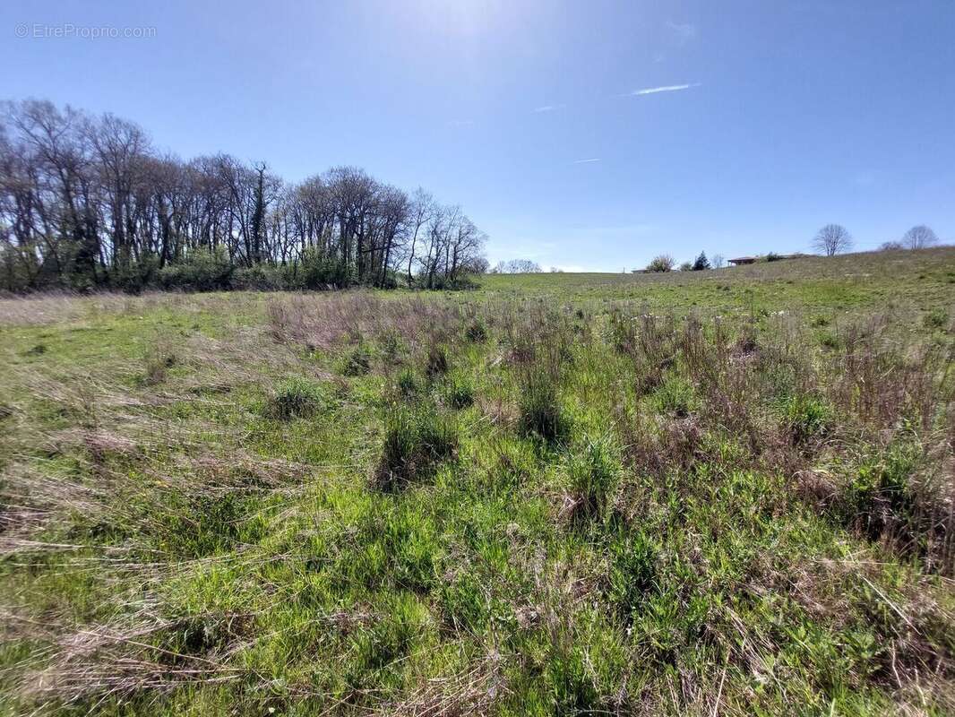 20260408154336 - Terrain à SAINT-MARTORY