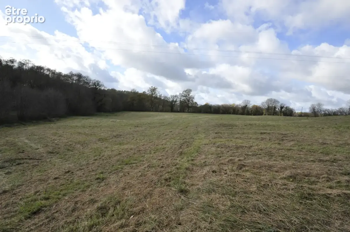 Terrain Agricole ou de Loisir d'un seul tenant, idéal pour chevaux ou animaux - photo 16