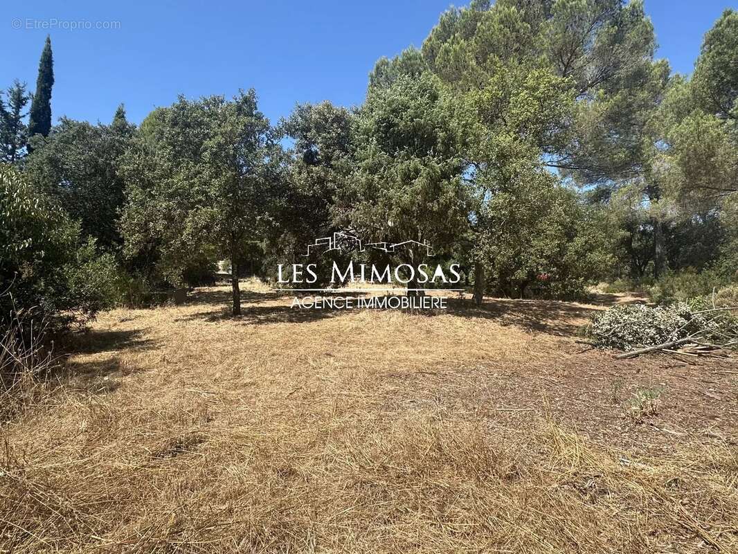 Maison à ROQUEBRUNE-SUR-ARGENS