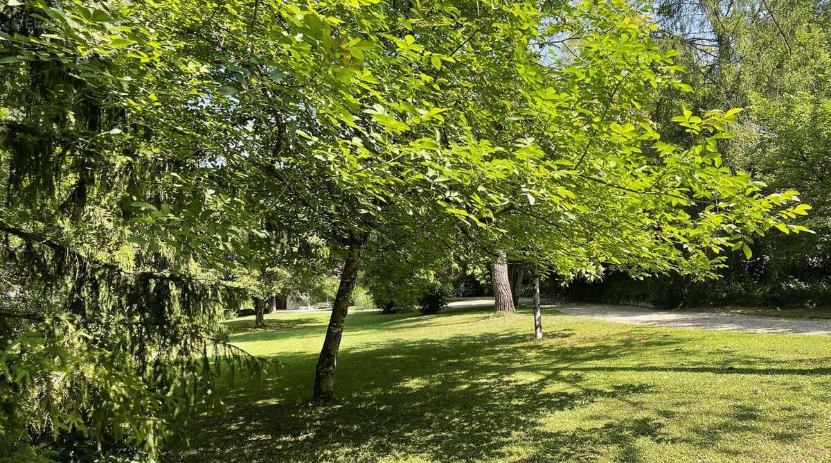 Maison à MONFLANQUIN